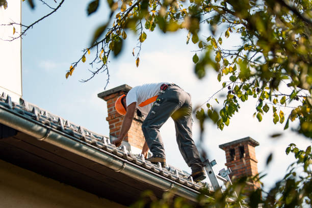 Best Metal Roofing Contractor  in Falls City, OR