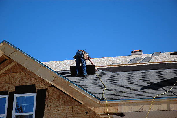 Best Roof Gutter Cleaning  in Falls City, OR