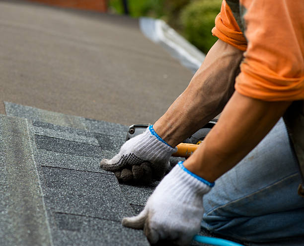 Best Local Roofing Companies  in Falls City, OR