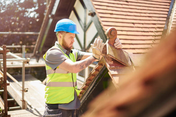 Best Roof Repair Services  in Falls City, OR